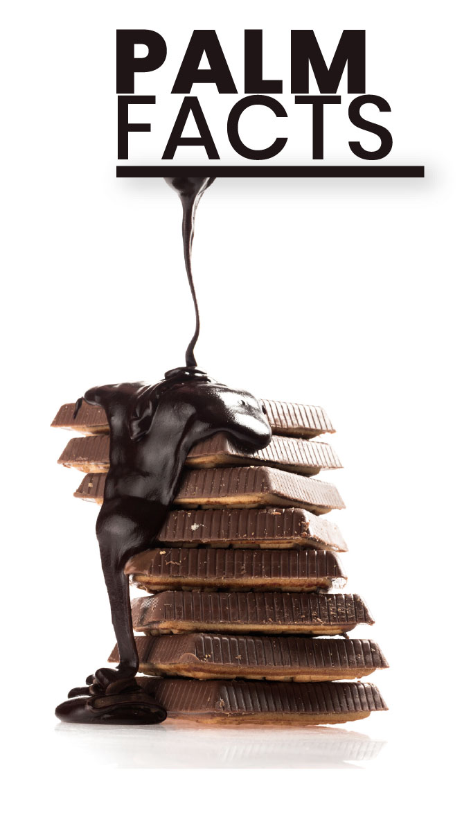world-chocolate-day-palm-facts2